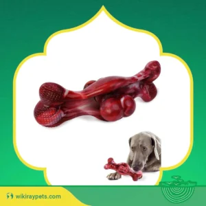 wikiRay Dog Chew Toy