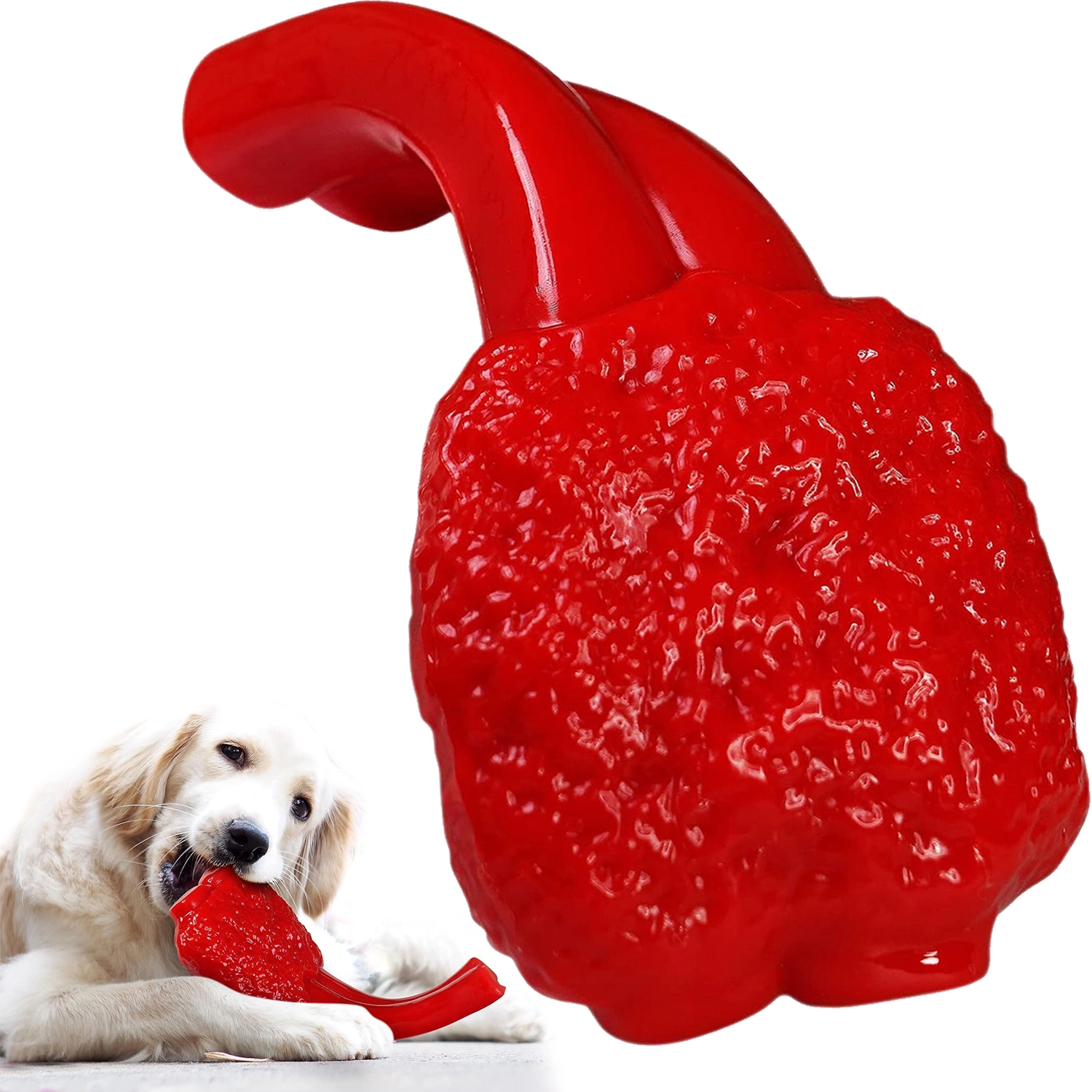 wikiRay Dog Chew Toy